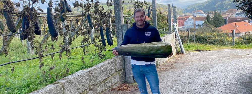 Story – How a Galician Company Is Revolutionizing Natural Luffa Sponges
