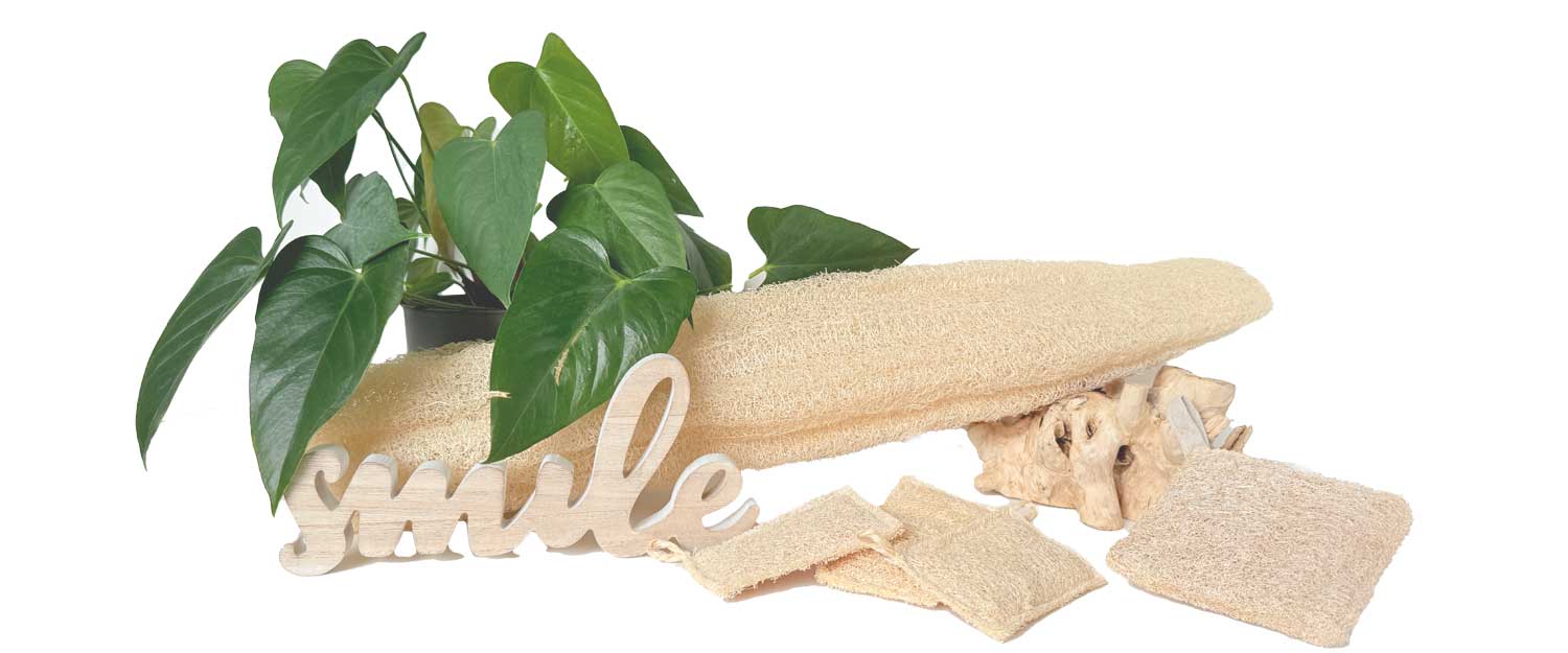 Natural Household Cleaning Products – Plastic-Free & Effective