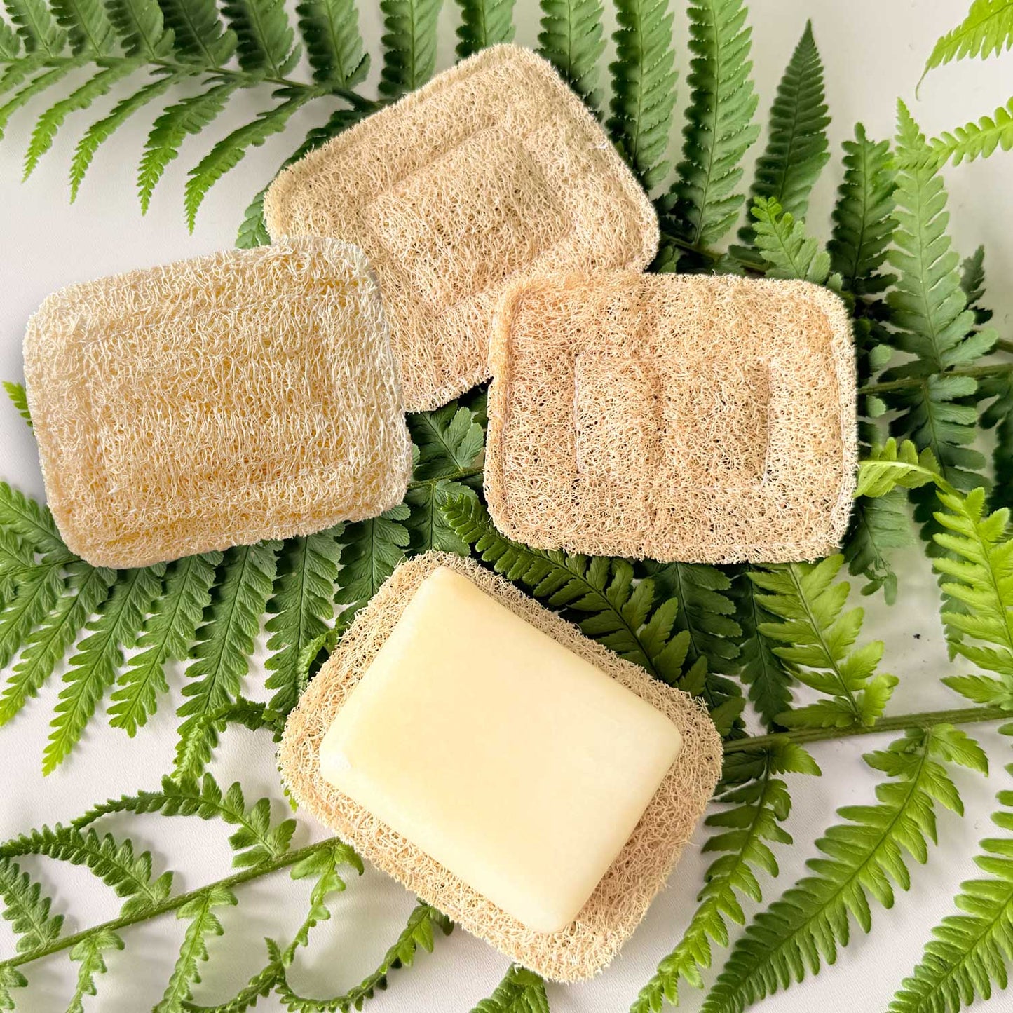 Soaply - L’Oasis du Savon
- 4 éponges pour le prix de 3 !