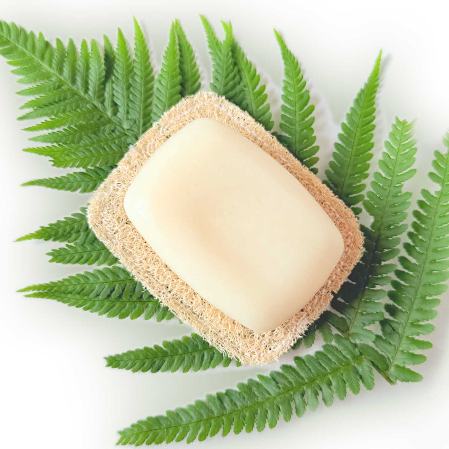 Soaply - A Cama do Sabão