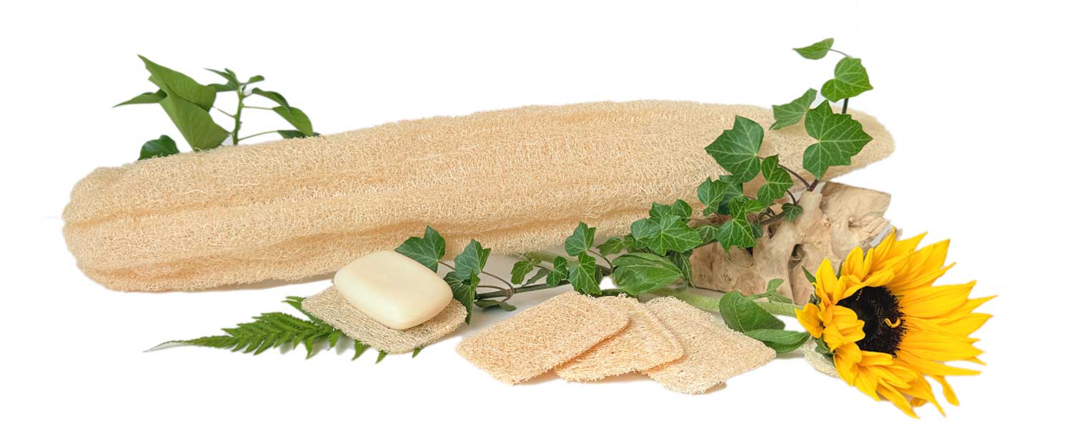 Clever & Sustainable – Smart Choices for Everyday Living