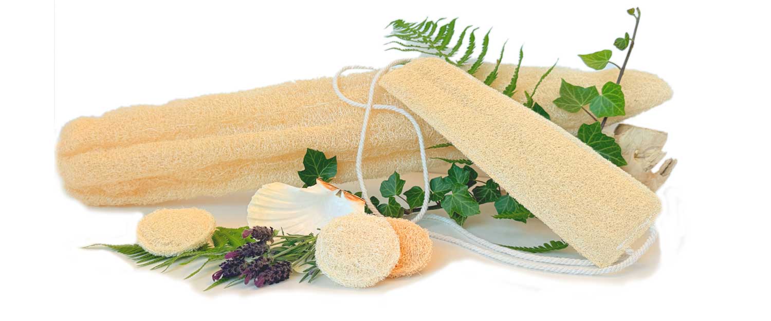 Natural Loofah Exfoliation – Plastic-Free Skin Car