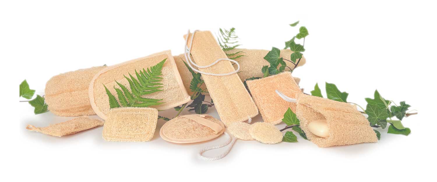 All Products – Discover Our Full Product Range Online