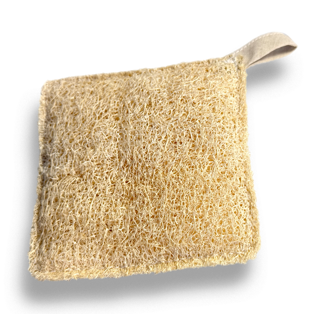 Luffa Design What is a loofah sponge? Benefits, uses & sustainability – Iberluffa ...