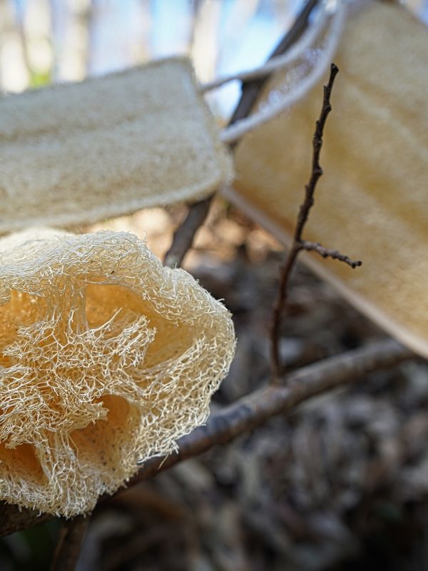 Using loofah on sensitive skin