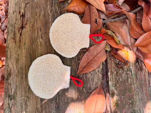 Esponjas de luffa «El Camino» con forma de concha de vieira
