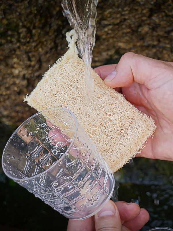 Loofah in the kitchen